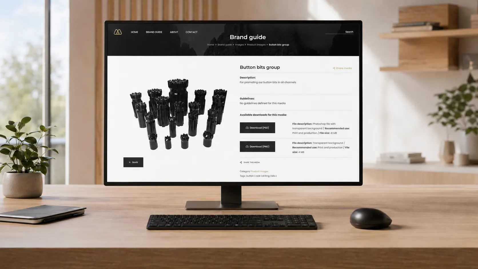Digital Brand Guide Monark