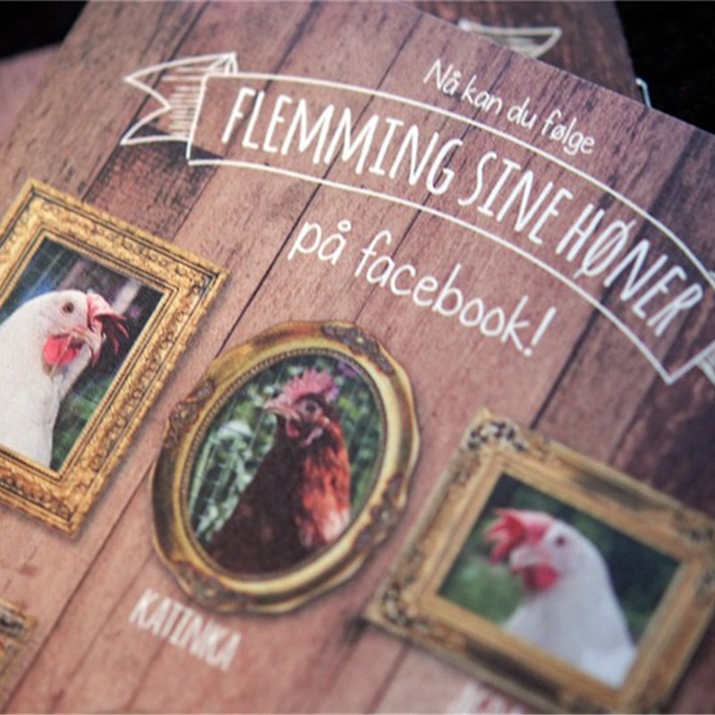 Flemming Egg