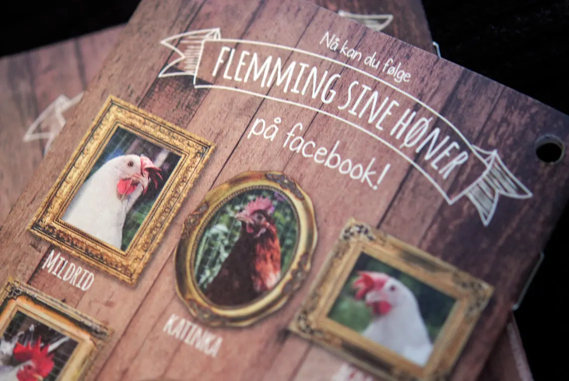 Flemming Egg