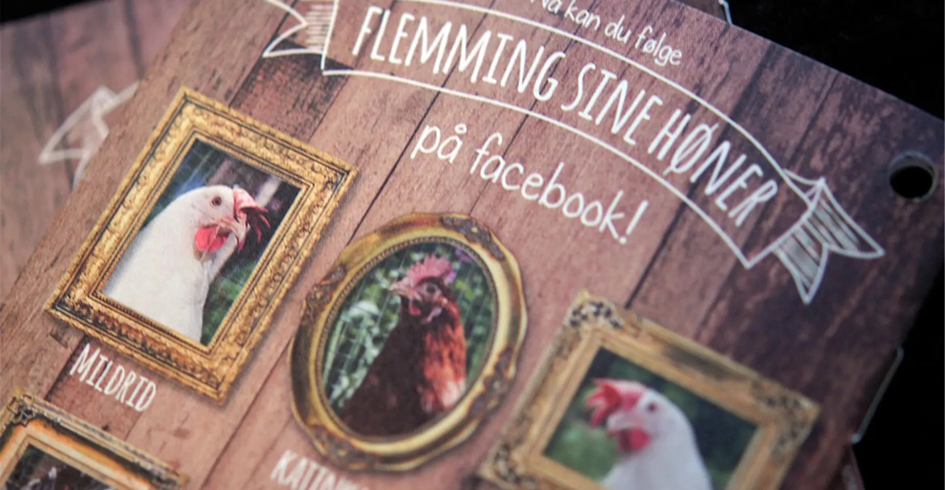 Flemming Egg