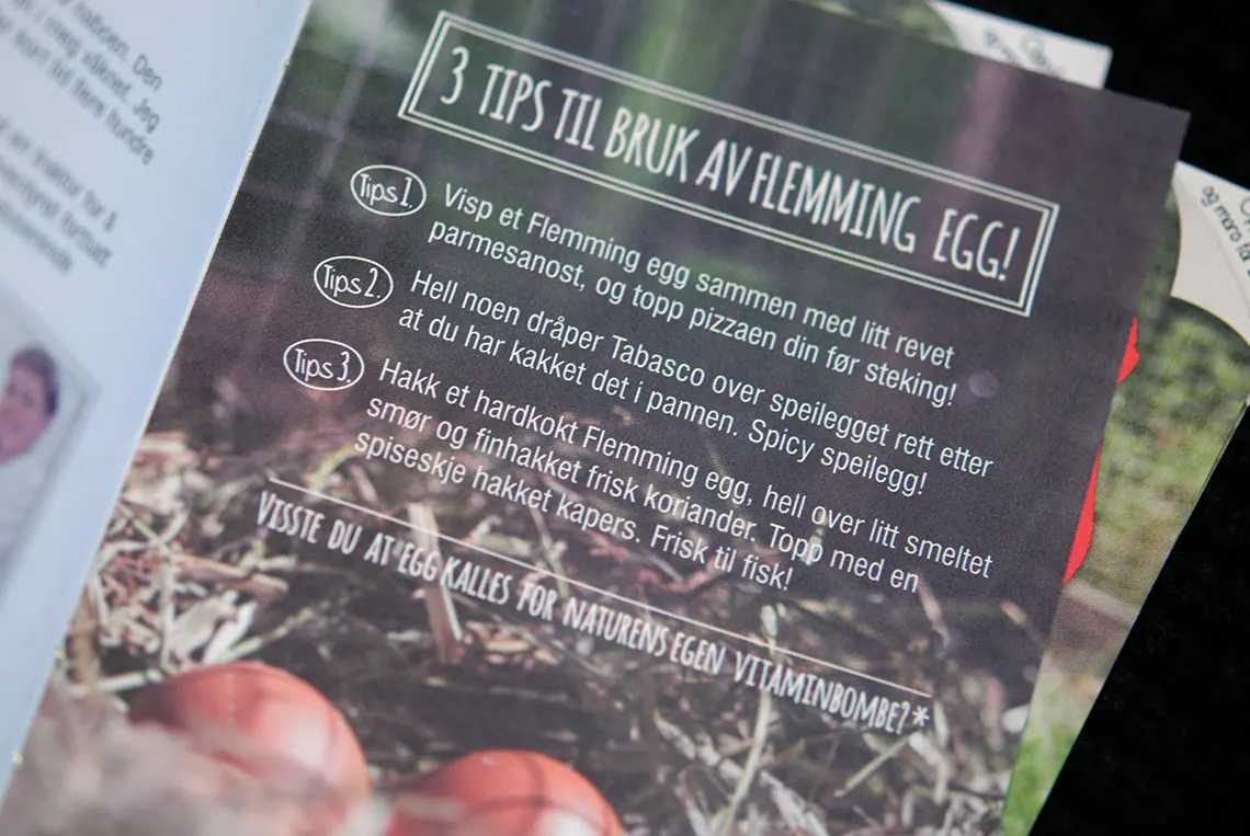 Brandingkampanje Flemming Egg