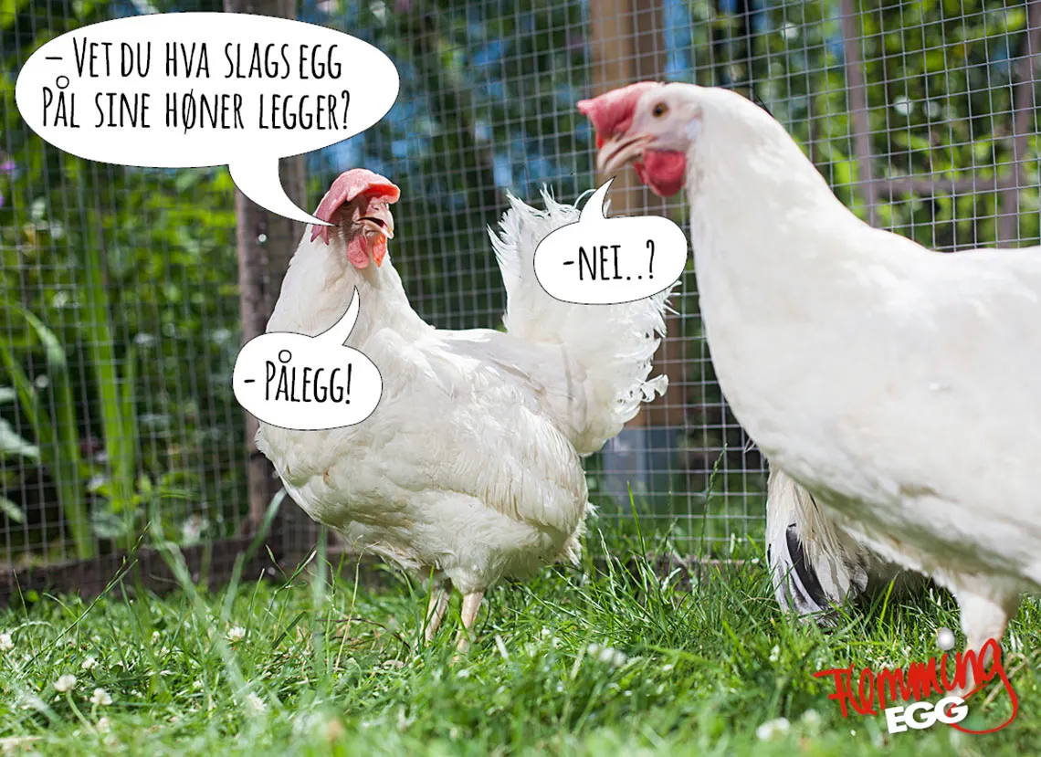 Brandingkampanje Flemming Egg