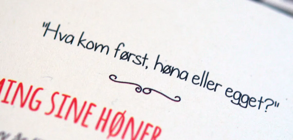Brandingkampanje Flemming Egg