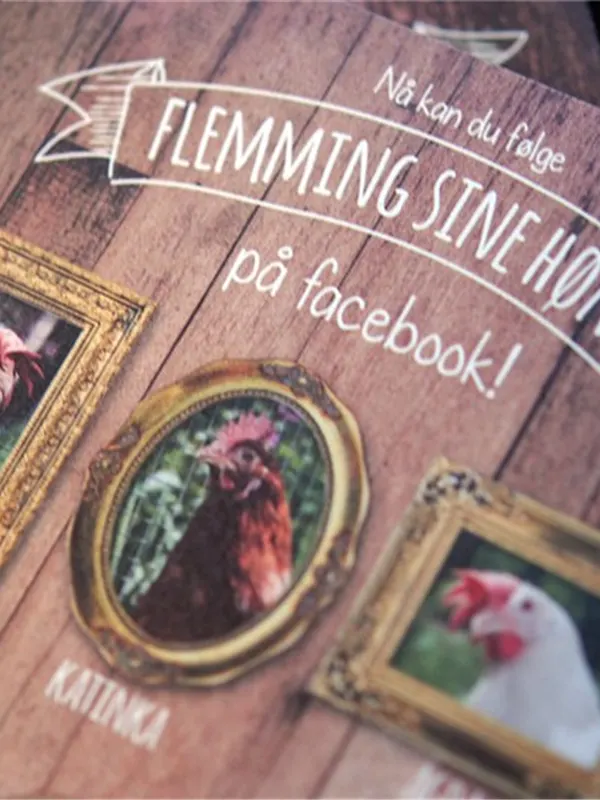 Flemming Egg