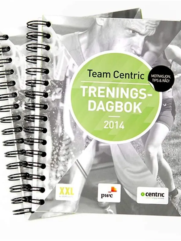 Team Centric